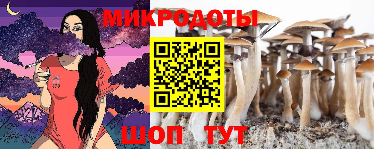 Когалым  Галлюциногенные грибы Psilocybine cubensis  Вход с VPN  Галлюциногенные грибы MAGIC MUSHROOMS 